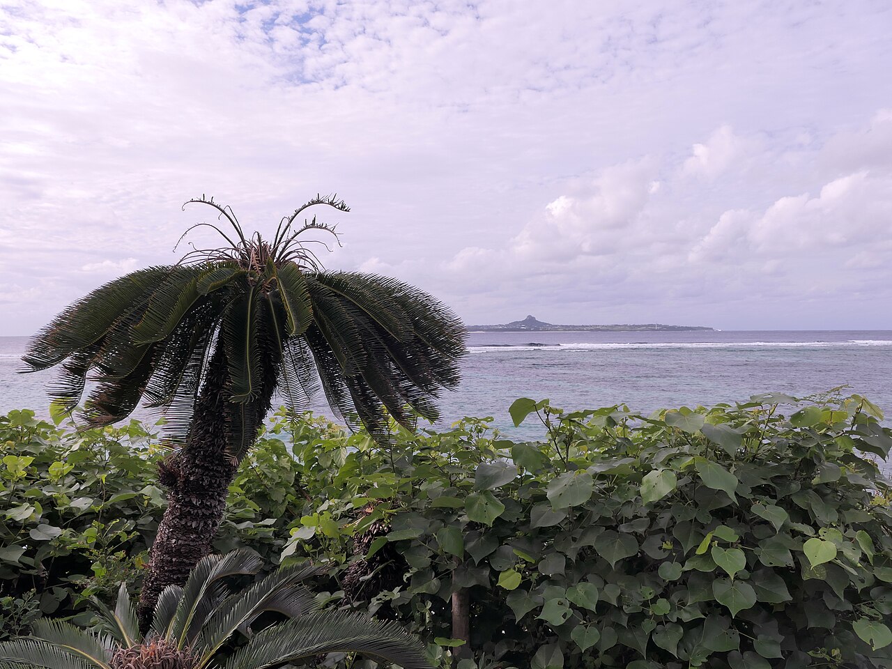 海洋博公園の海辺から伊江島を望む（写真：Hyppolyte de Saint-Rambert / CC BY 4.0）