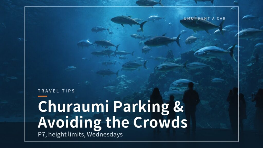 Churaumi Aquarium Parking and Tips for Avoiding the Crowds