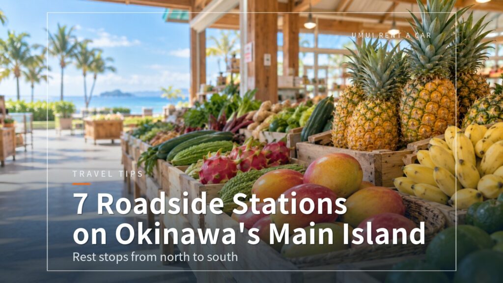 Michi-no-Eki Roadside Stations on Okinawa's Main Island: 7 Rest Stops from North to South