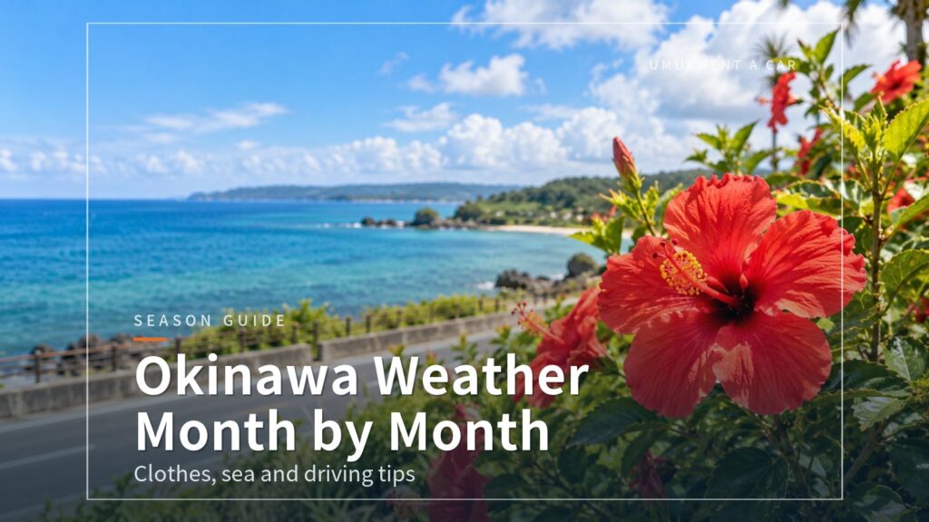 Okinawa Weather and Sea by Month: What to Wear and What to Watch for on a Road Trip