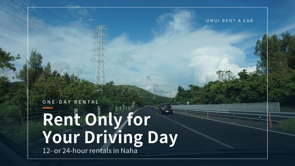 Naha One-Day Car Rental: 12 or 24 Hours, 5 Options