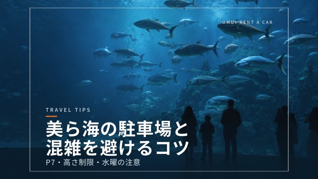 美ら海水族館の駐車場と、混雑を避けて回るコツ