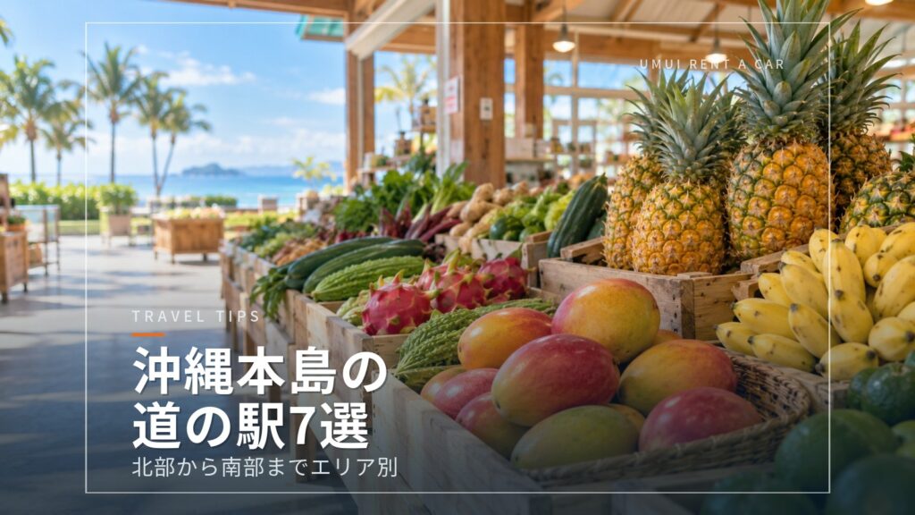 ドライブ途中に寄りたい沖縄本島の道の駅　許田・おおぎみ・ぎのざ・豊崎ほか7駅をエリア別に