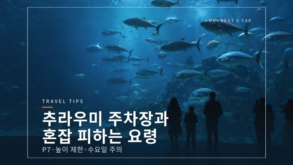 추라우미 수족관 주차장과 혼잡을 피해 관람하는 요령