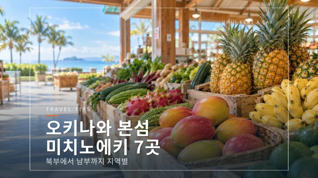 드라이브 중 들르고 싶은 오키나와 본섬의 미치노에키 교다·오기미·기노자·도요사키 등 7곳 지역별 안내