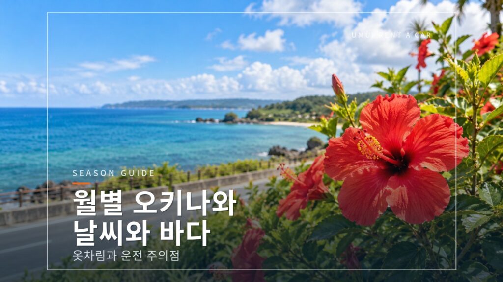 월별 오키나와의 날씨와 바다 드라이브 여행의 옷차림과 주의점