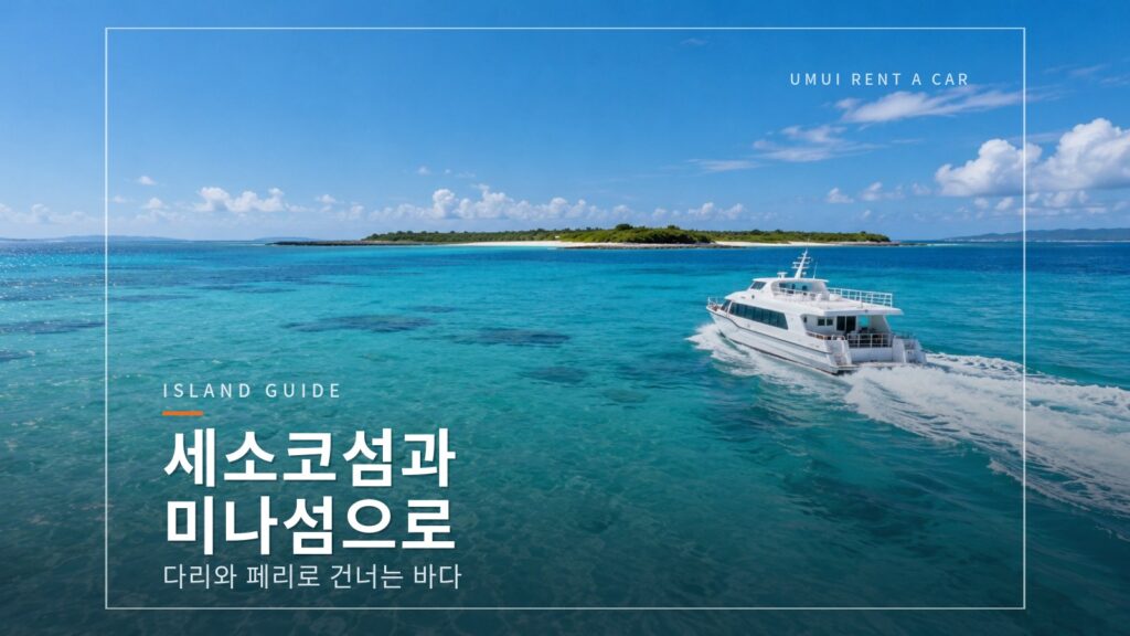 모토부 반도의 바다 여행　세소코섬과 미나섬(페리) 가는 방법