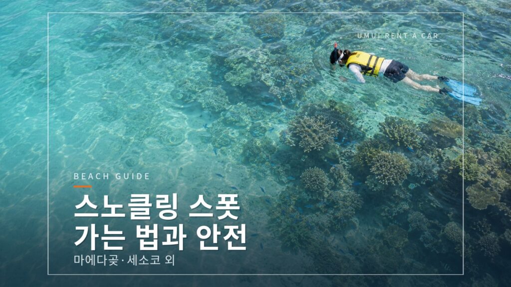 오키나와 스노클링 스폿 가는 방법과 안전 포인트