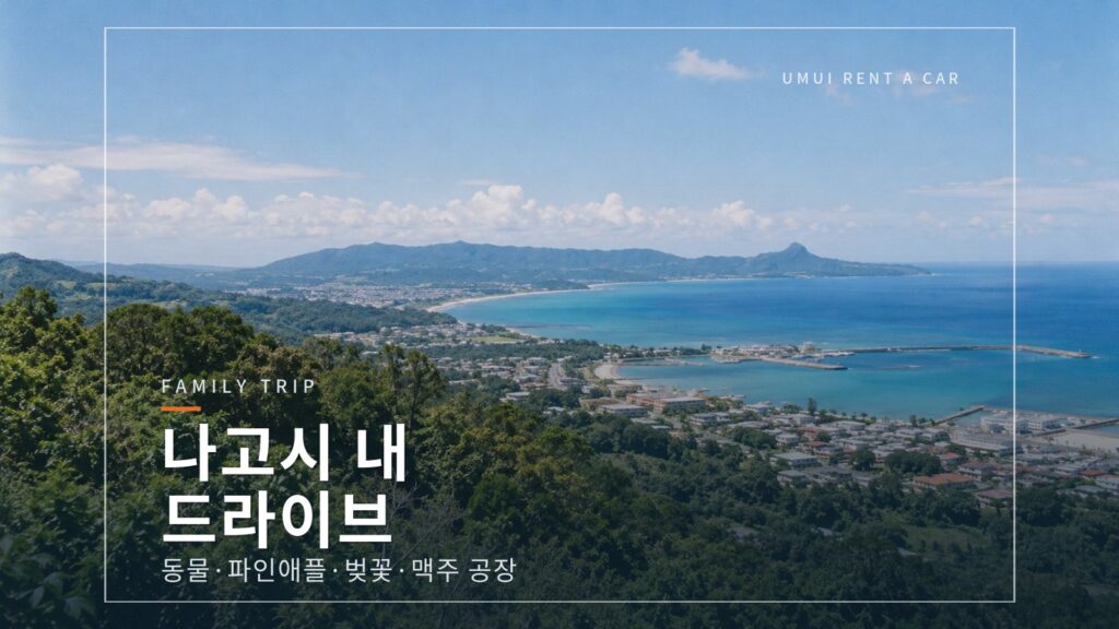 나고시 드라이브 네오파크 오키나와·나고 파인애플 파크 외