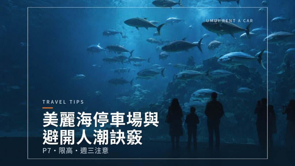 美麗海水族館的停車場與避開人潮的參觀訣竅