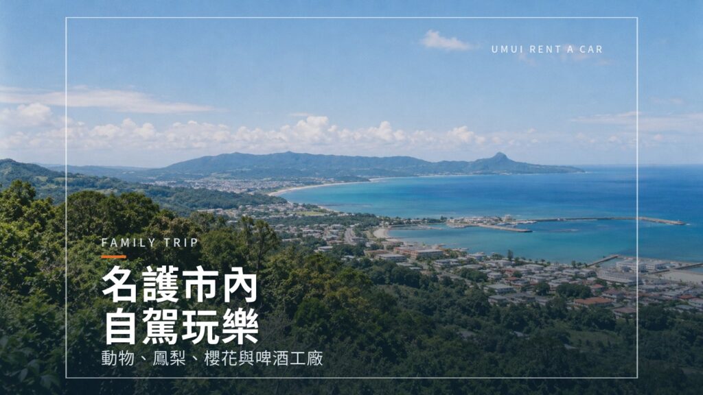 名護市內自駕 Neo Park Okinawa、名護鳳梨公園等景點