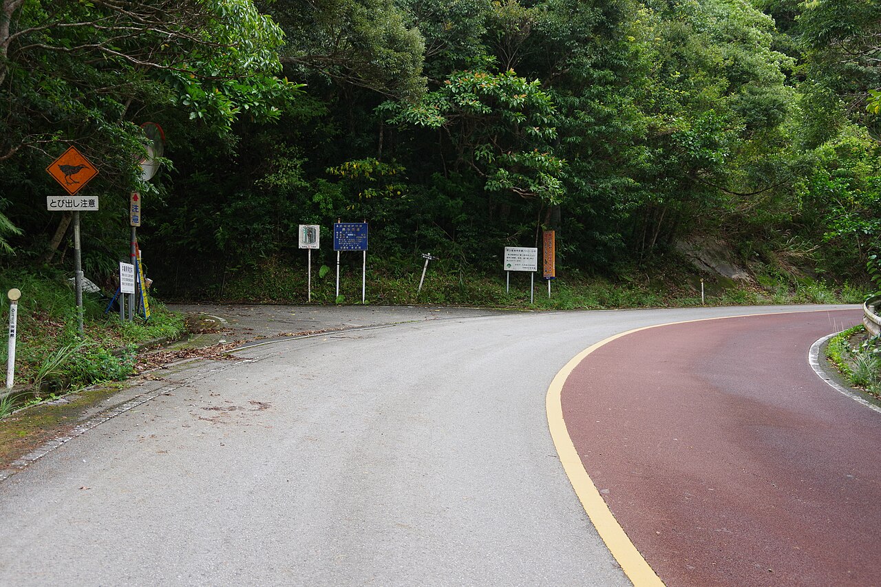 鳥の飛び出しに注意を促す標識がある沖縄県道2号。山あいの道は見通しが悪い場所も多い(写真:Kugel~commonswiki / CC BY-SA 4.0)